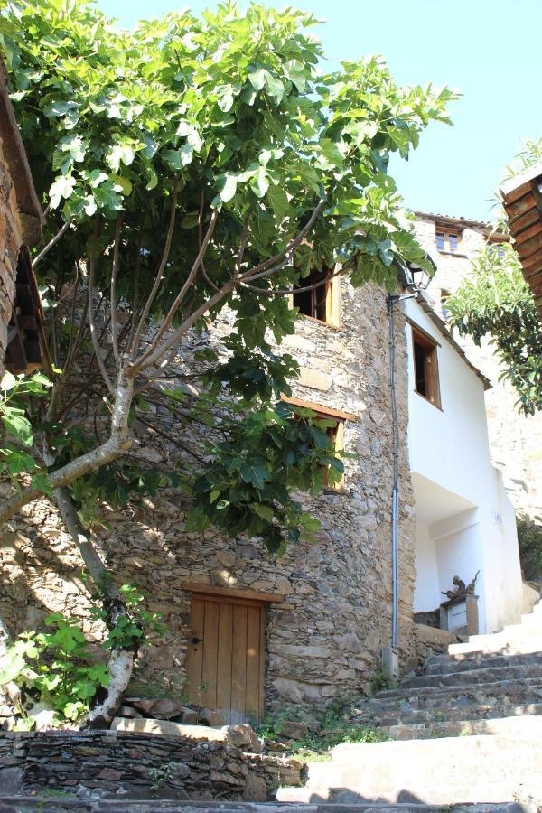 로우사 Casa Da Carvalha 빌라 외부 사진